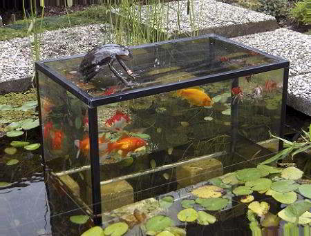 Constructie met aquarium in vijver